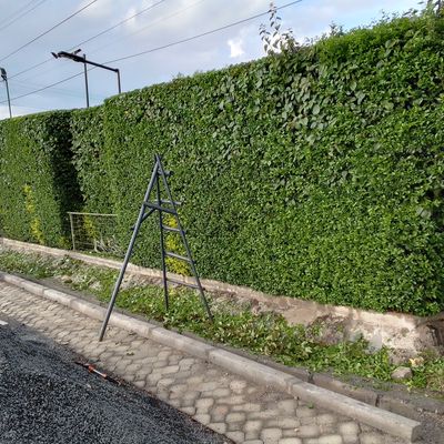 Thumbnail for provider 45