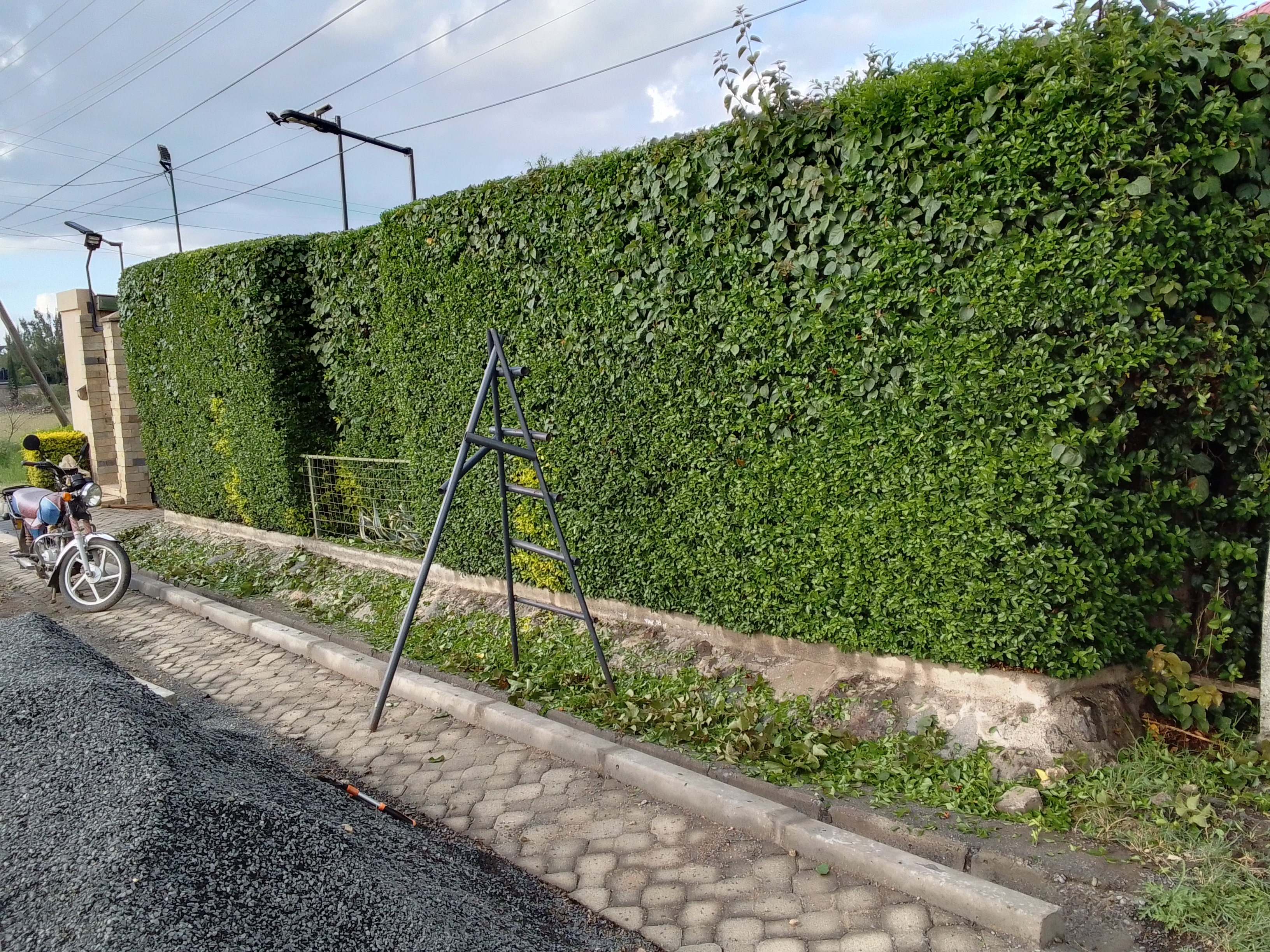 Kamaa Hedge Master gallery 1