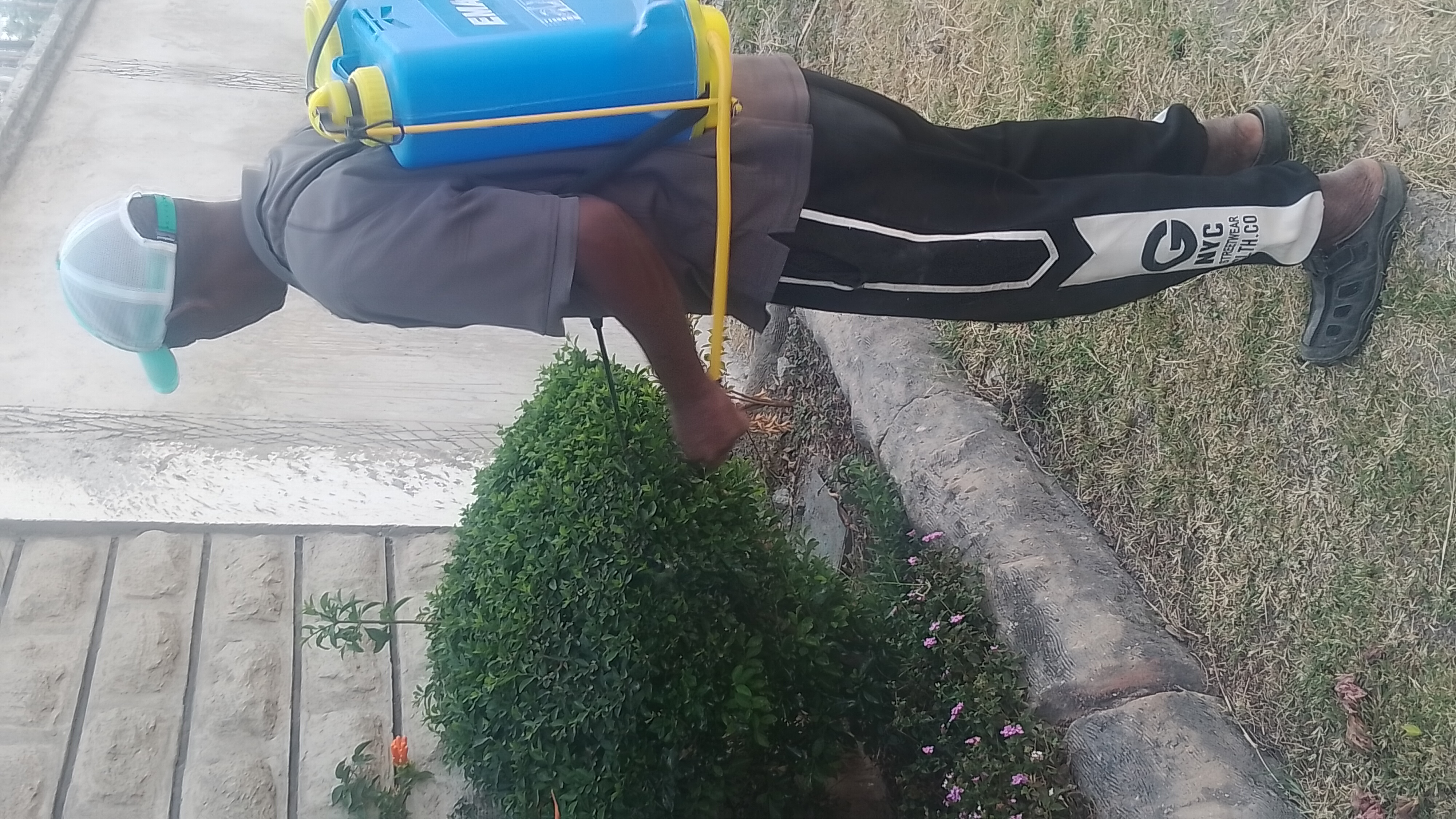 Ben Flower and Crops Spraying Service gallery 14