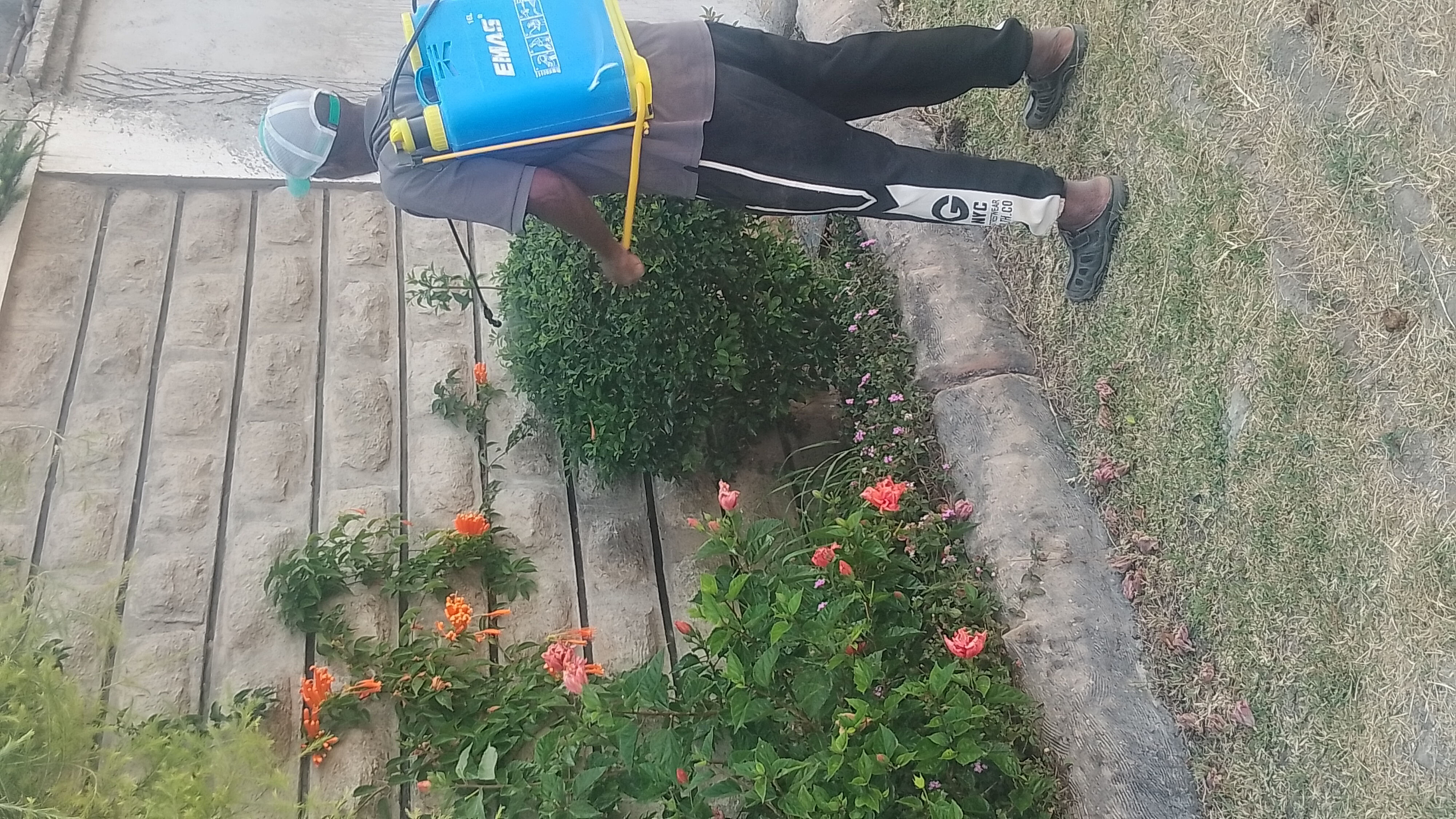 Ben Flower and Crops Spraying Service gallery 15