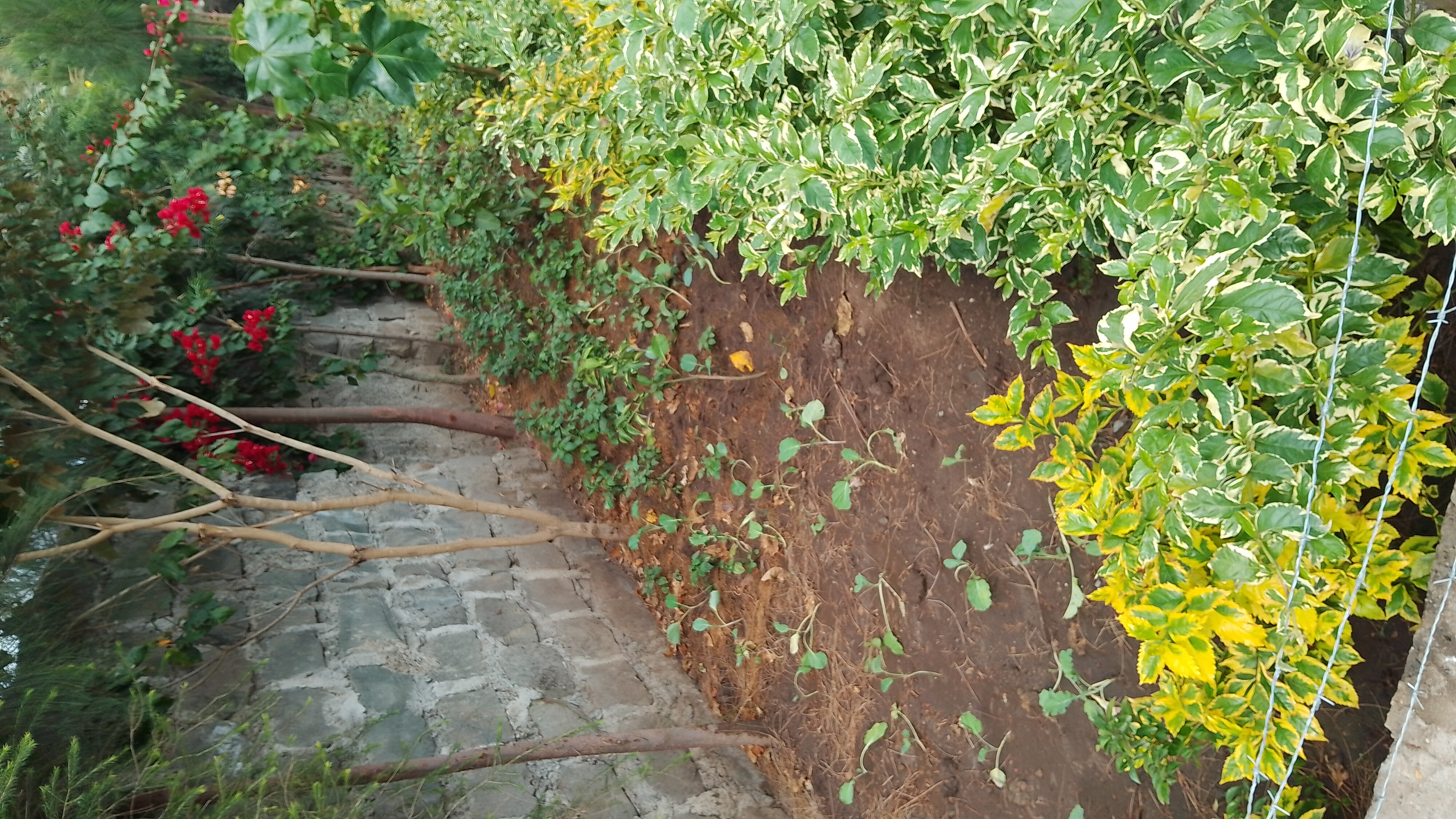 Bonnie Gardening Solutions gallery 1