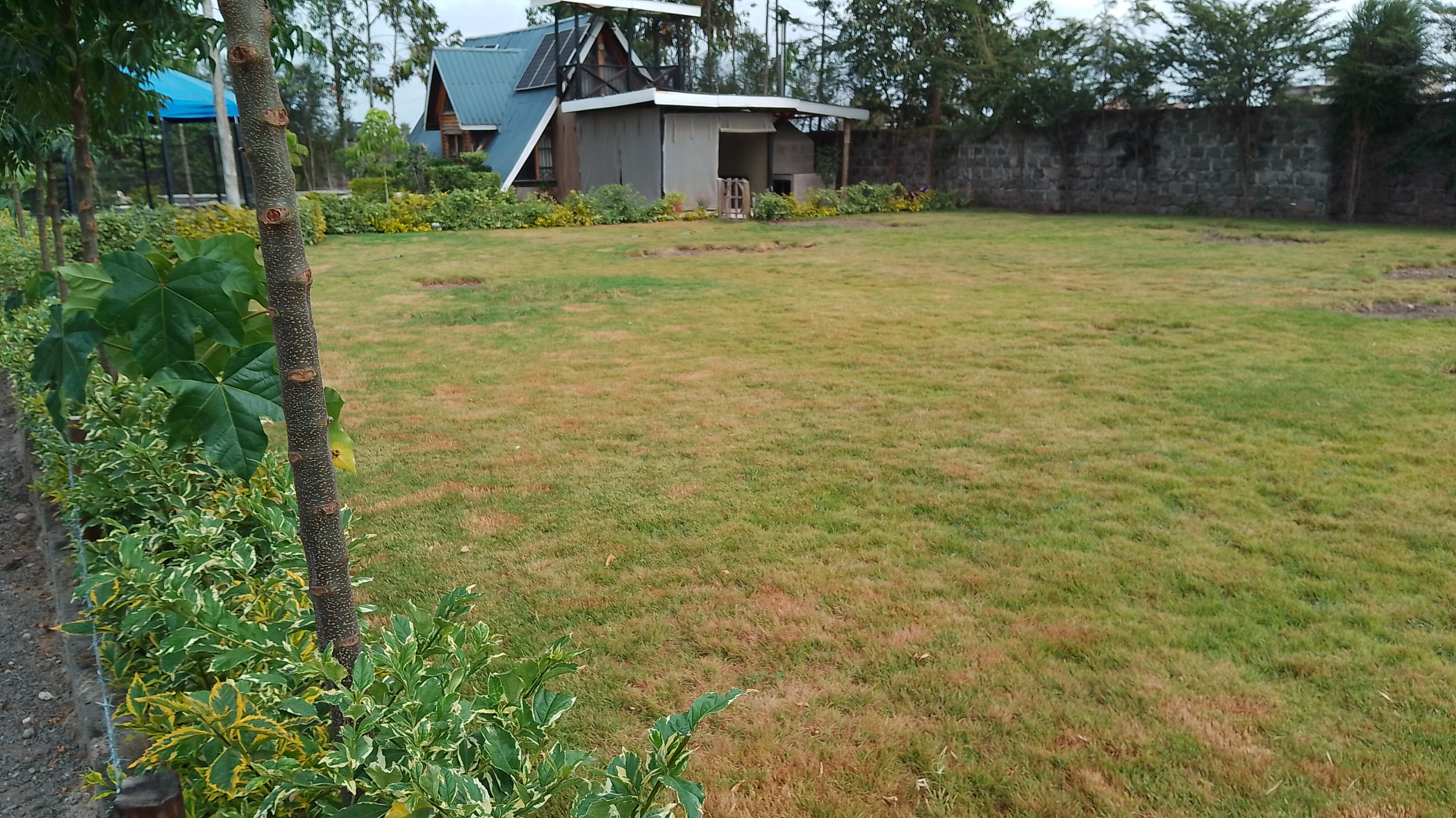 Bonnie Gardening Solutions gallery 3