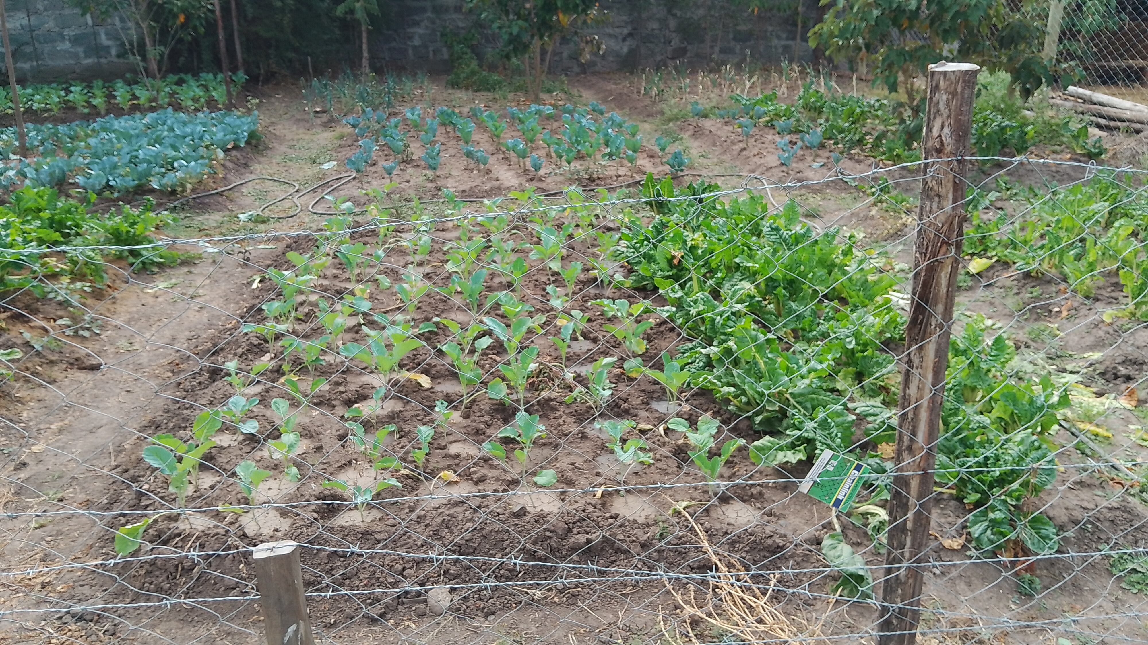 Bonnie Gardening Solutions gallery 2