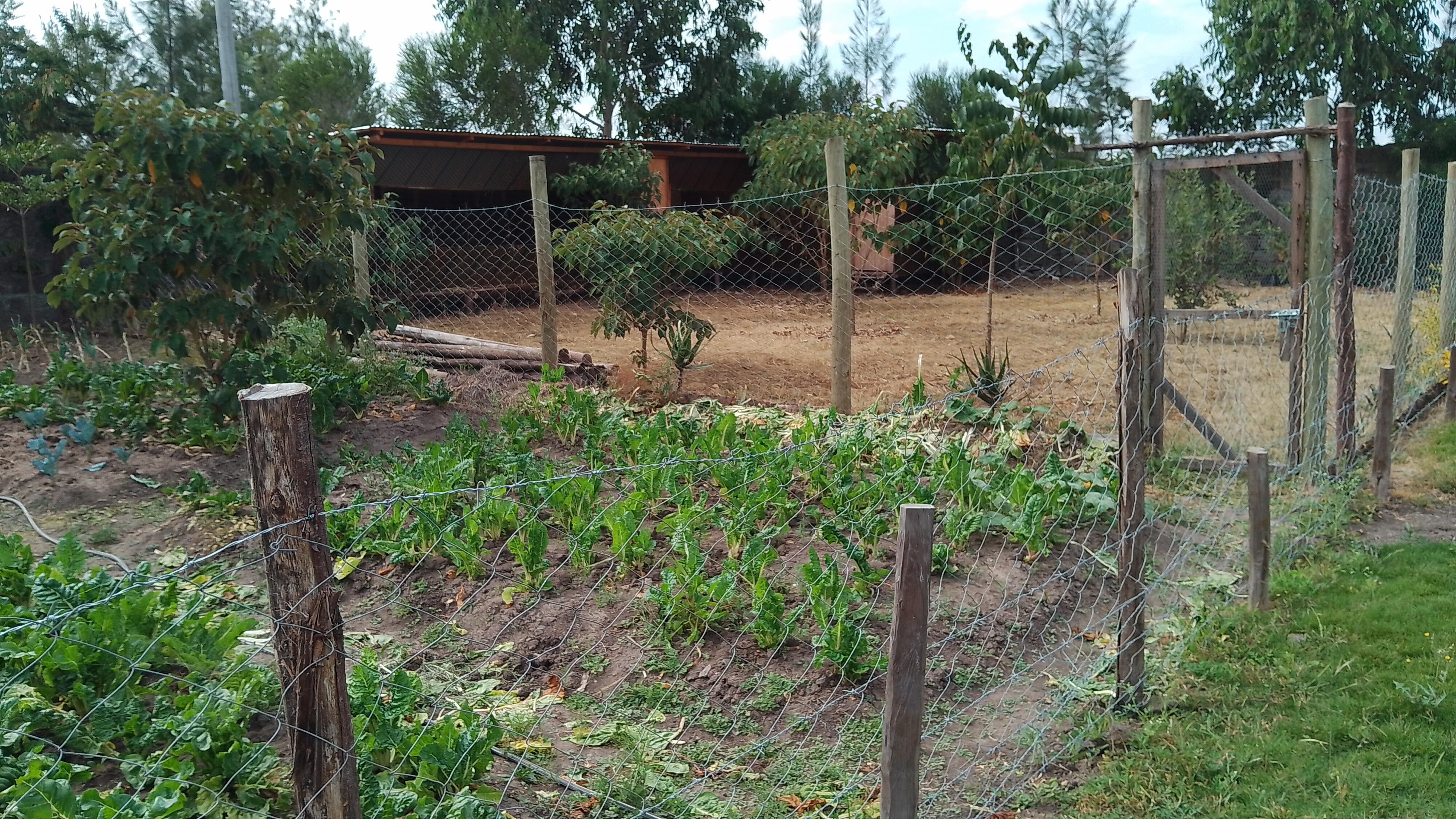 Bonnie Gardening Solutions gallery 4