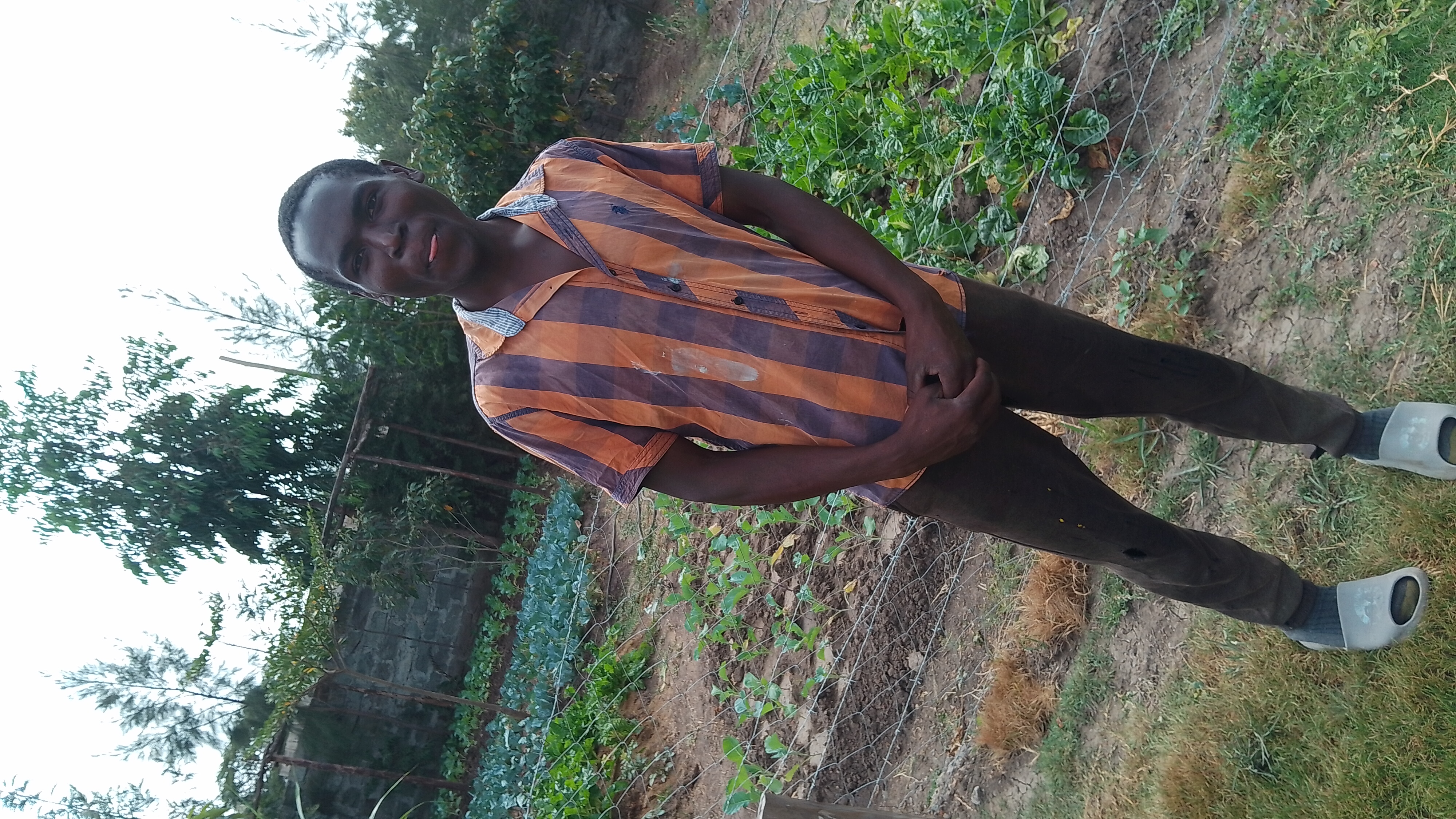 Bonnie Gardening Solutions gallery 5