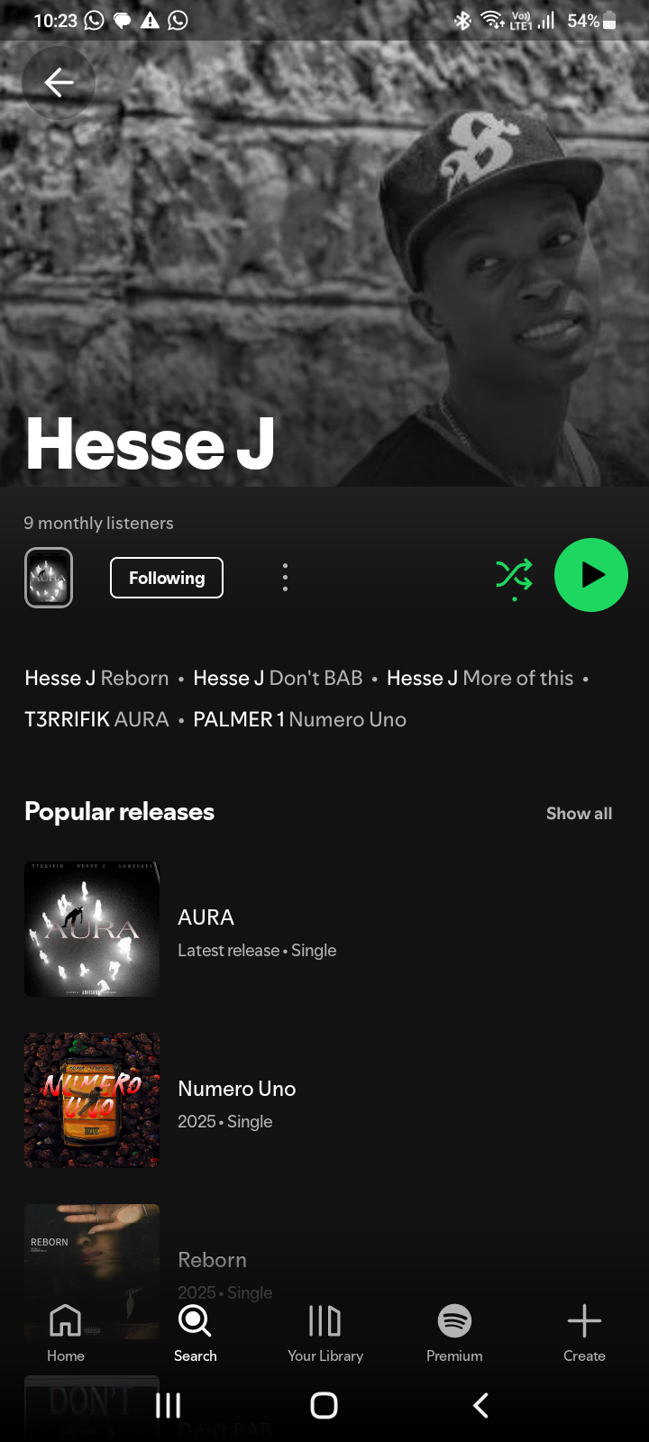 Hesse J Records gallery 2