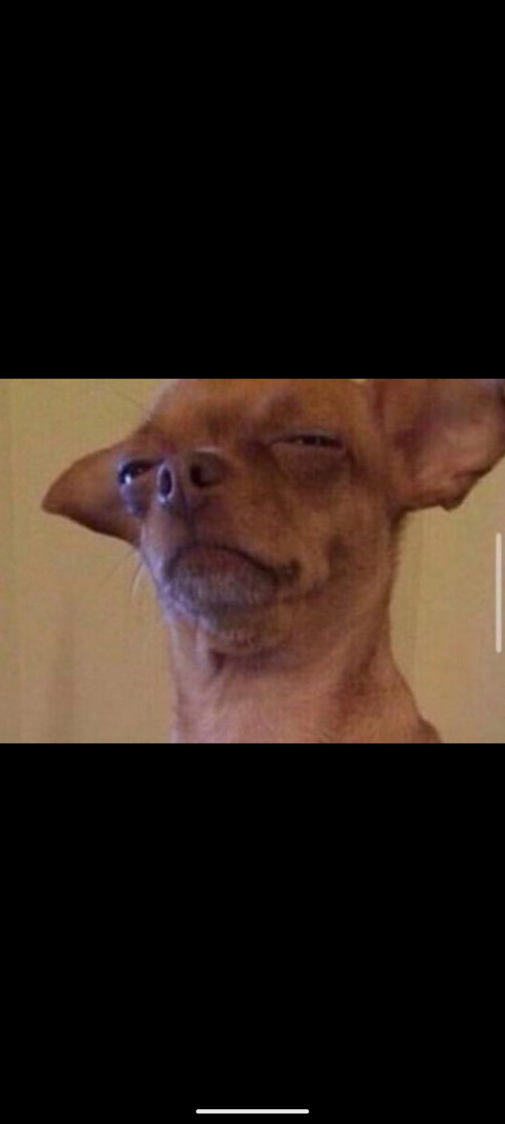 Ben Flower and Crops Spraying Service gallery 12