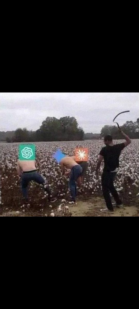 Ben Flower and Crops Spraying Service gallery 5